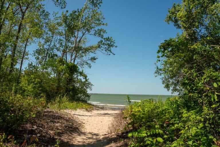 view of Lake Erie from North Pond Nature Reserve on Kelleys Island in Ohio