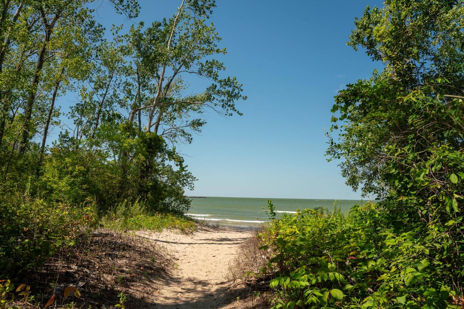 view of Lake Erie from North Pond Nature Reserve on Kelleys Island in Ohio