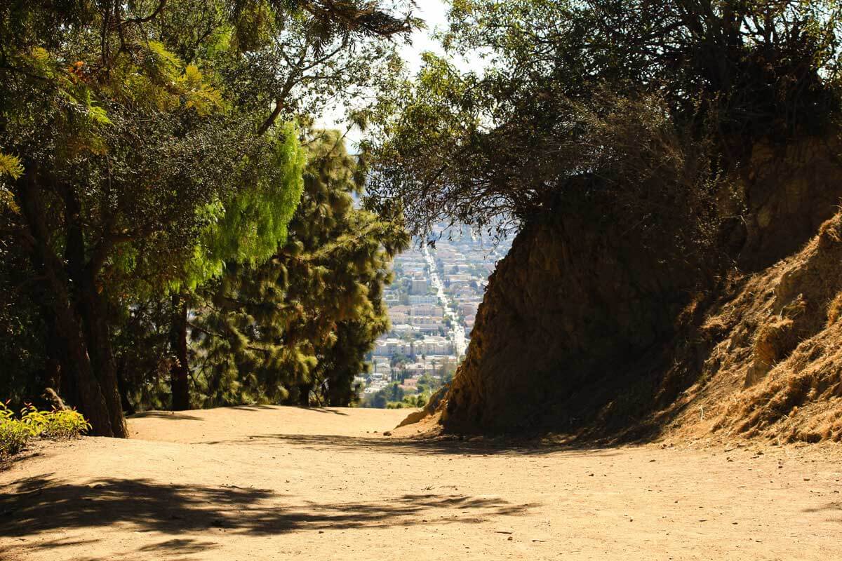 view-of-Los-Angeles-from-Griffith-Park-hiking-trails-in-California