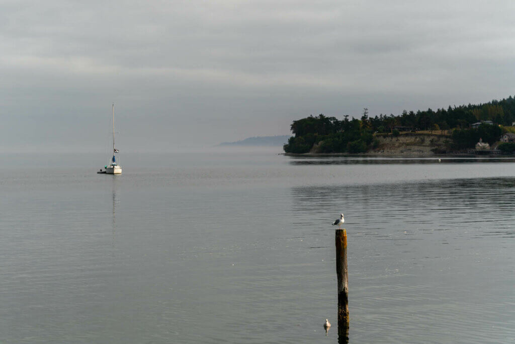 view of Penn Cove from Coupeville on Whidbey Island in Washington