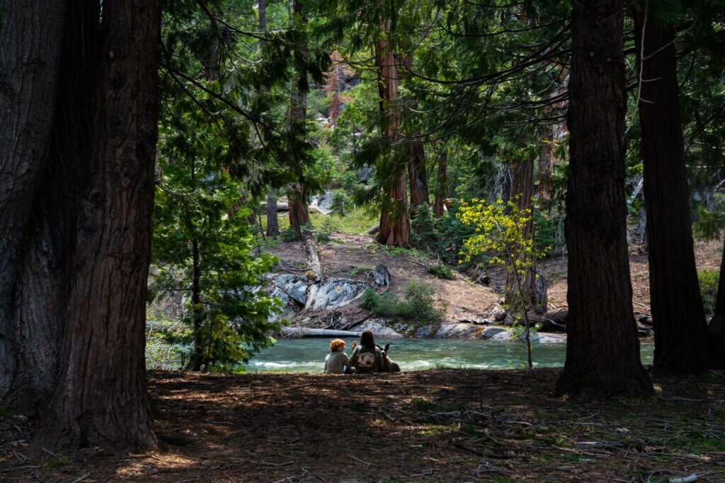 view of the Stanislaus River at Kennedy Meadows Resort and Pack Station in Stanislaus National Forest in California
