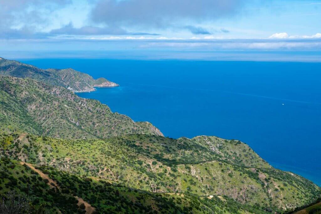view of the inland of Catalina Island in California