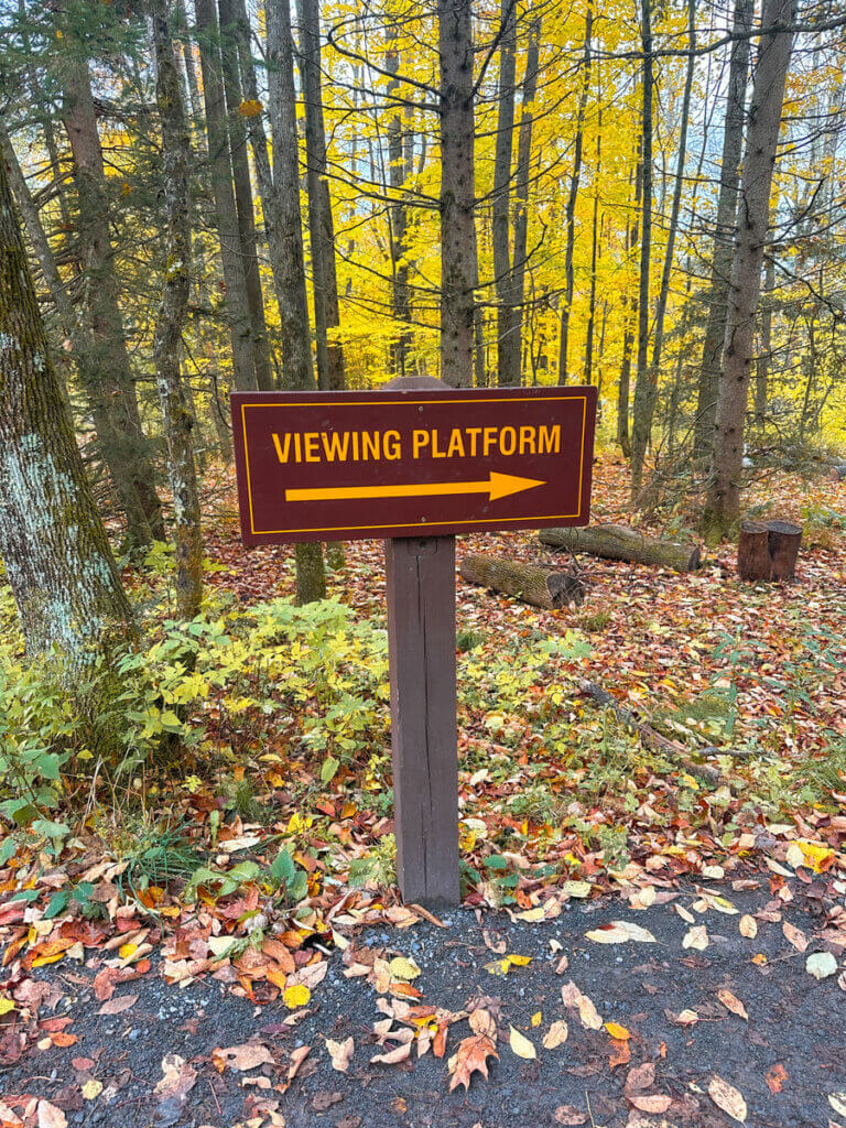 viewing-platform-sign-at-Kaaterskill-Falls-hike-in-Catskills-NY