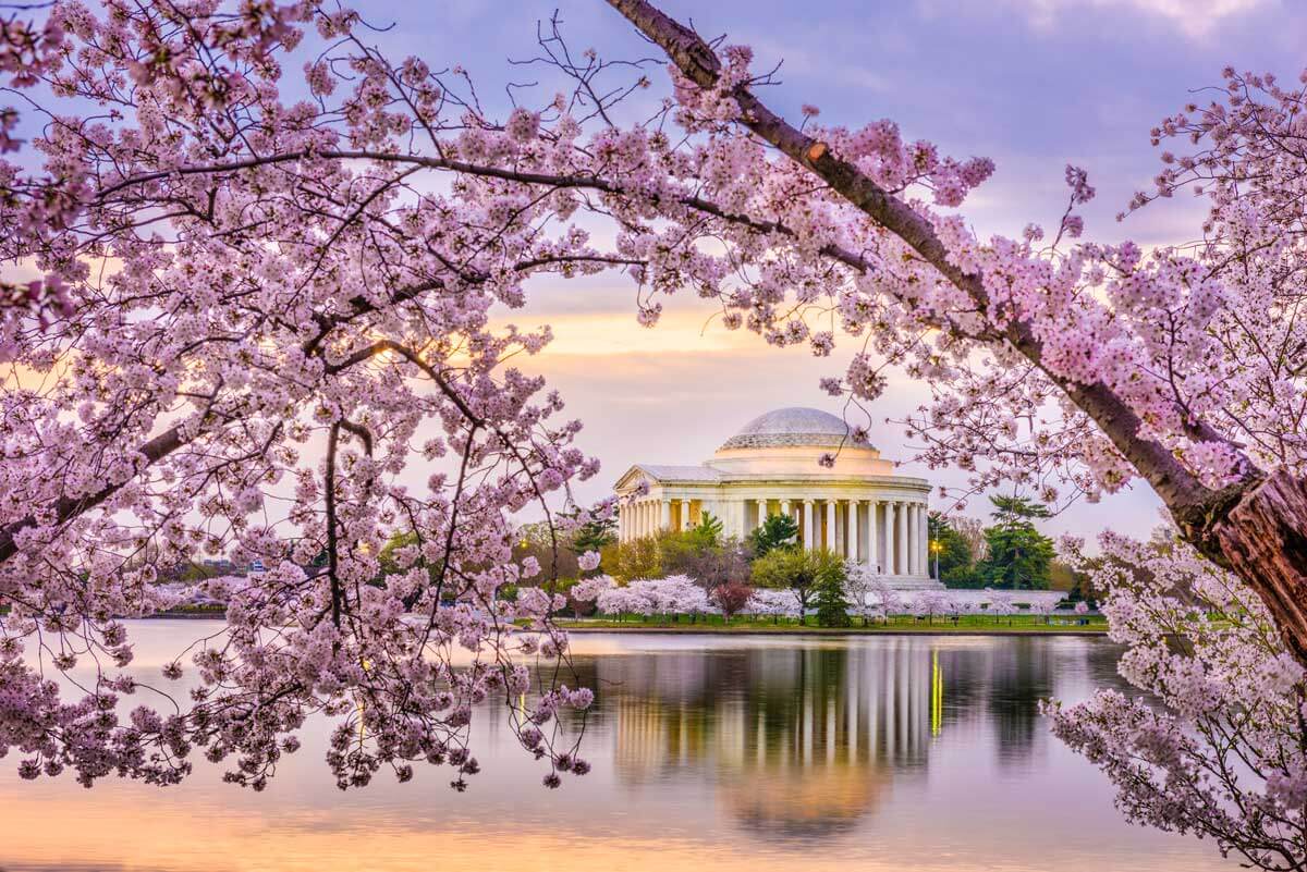 washington-dc-usa-at-the-jefferson-memorial-in-spring